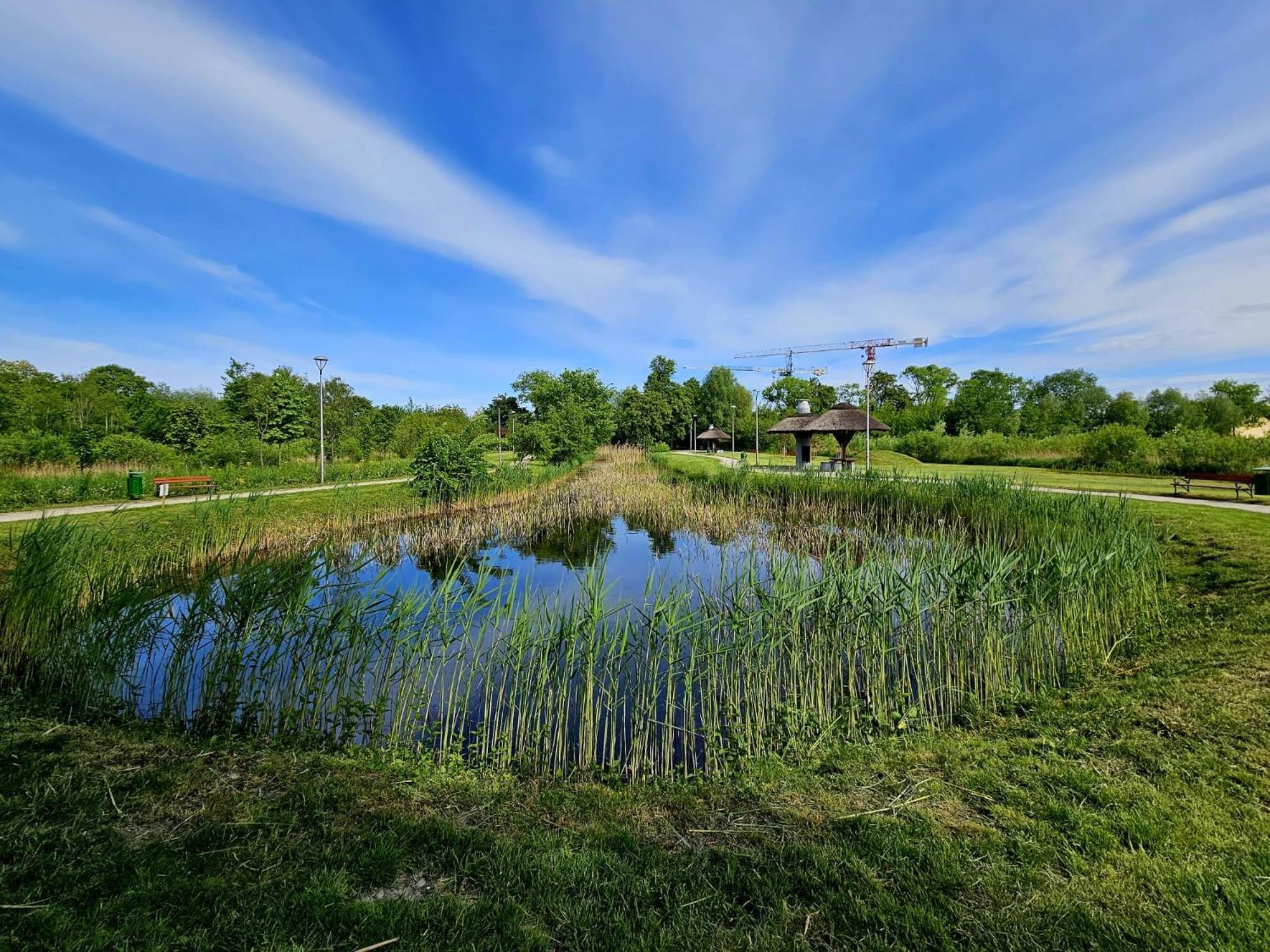 Countryside Studio Borzecin Duzy 外观 照片
